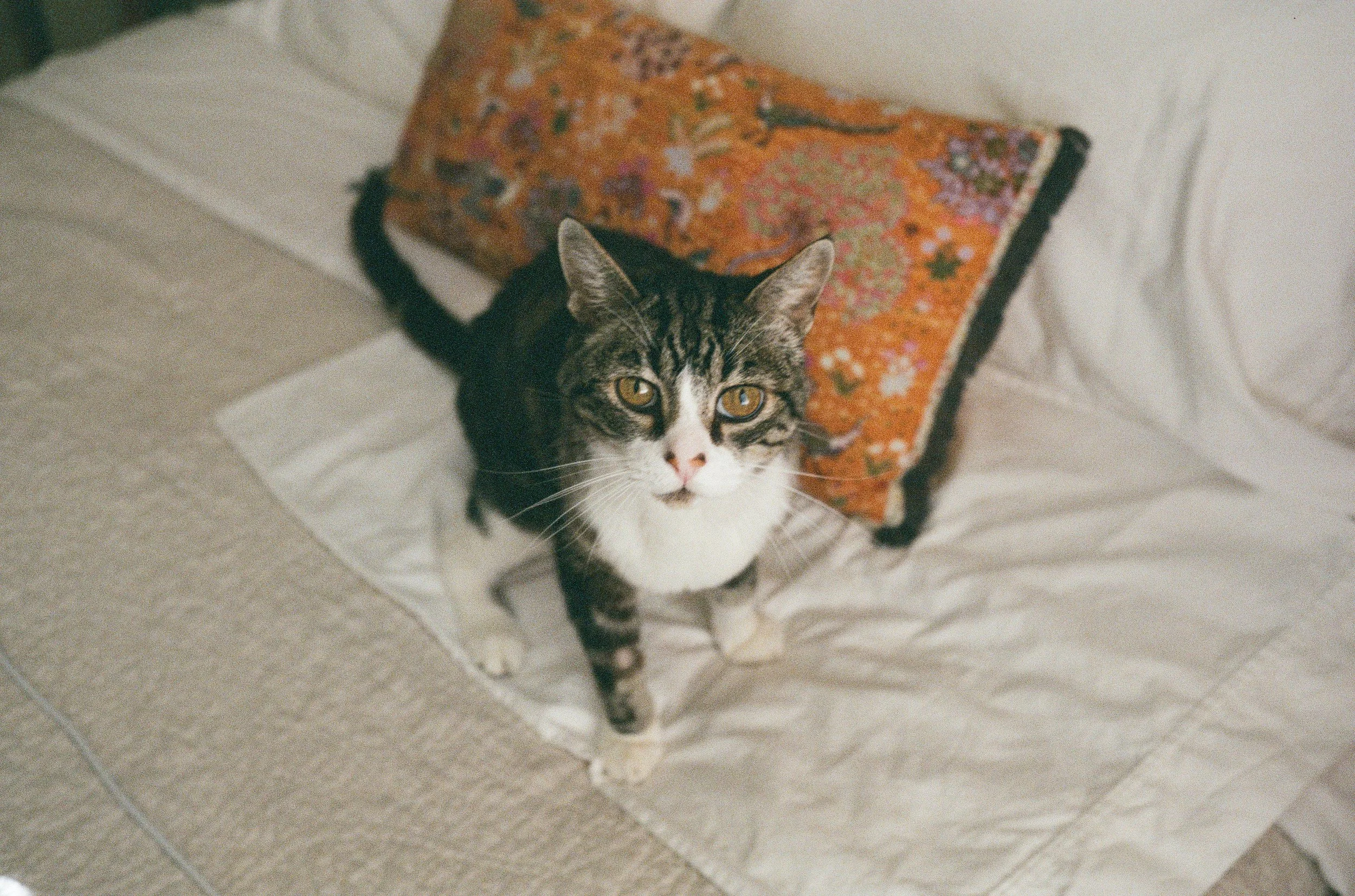 Scan-32.jpg