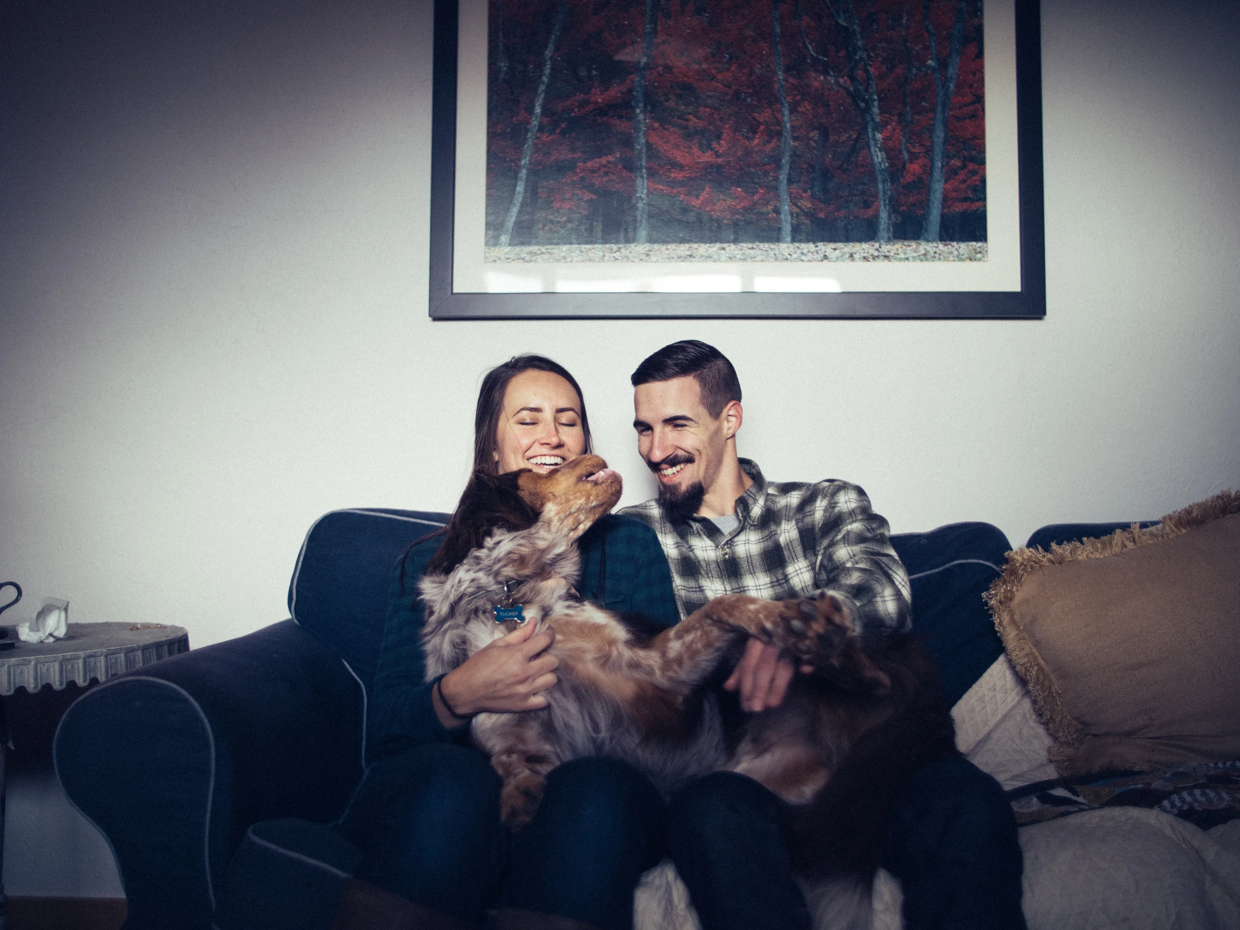 dog puppy home natural photos OKC Oklahoma Photographer wedding engagement