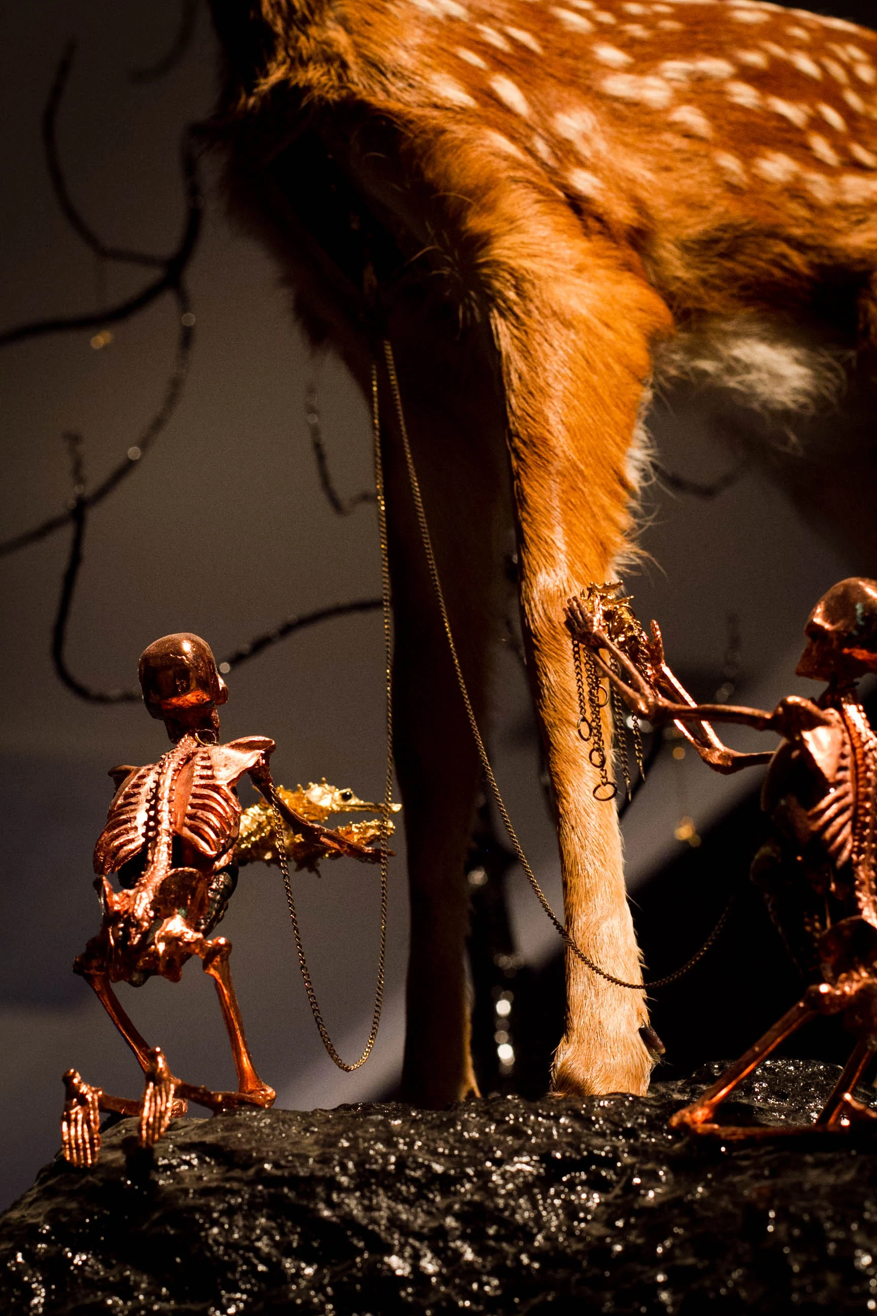 _MG_0164.jpg