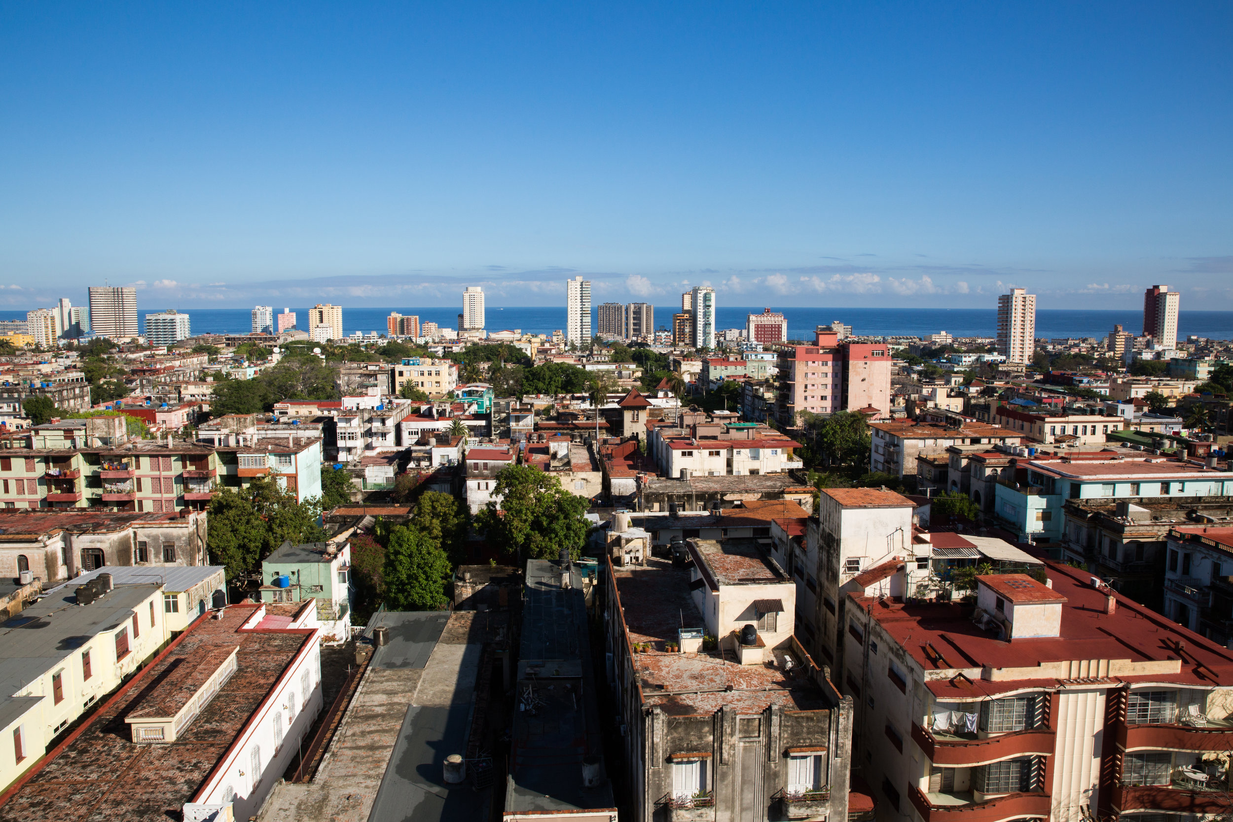 Morning in Havana. Roosters are often louder than the traffic.