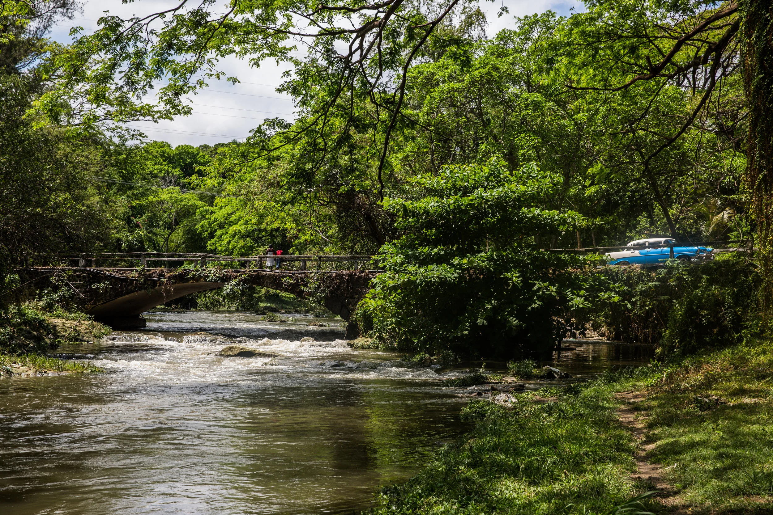 Jungles push up against Havana's city limits; a lush green nearly year round.