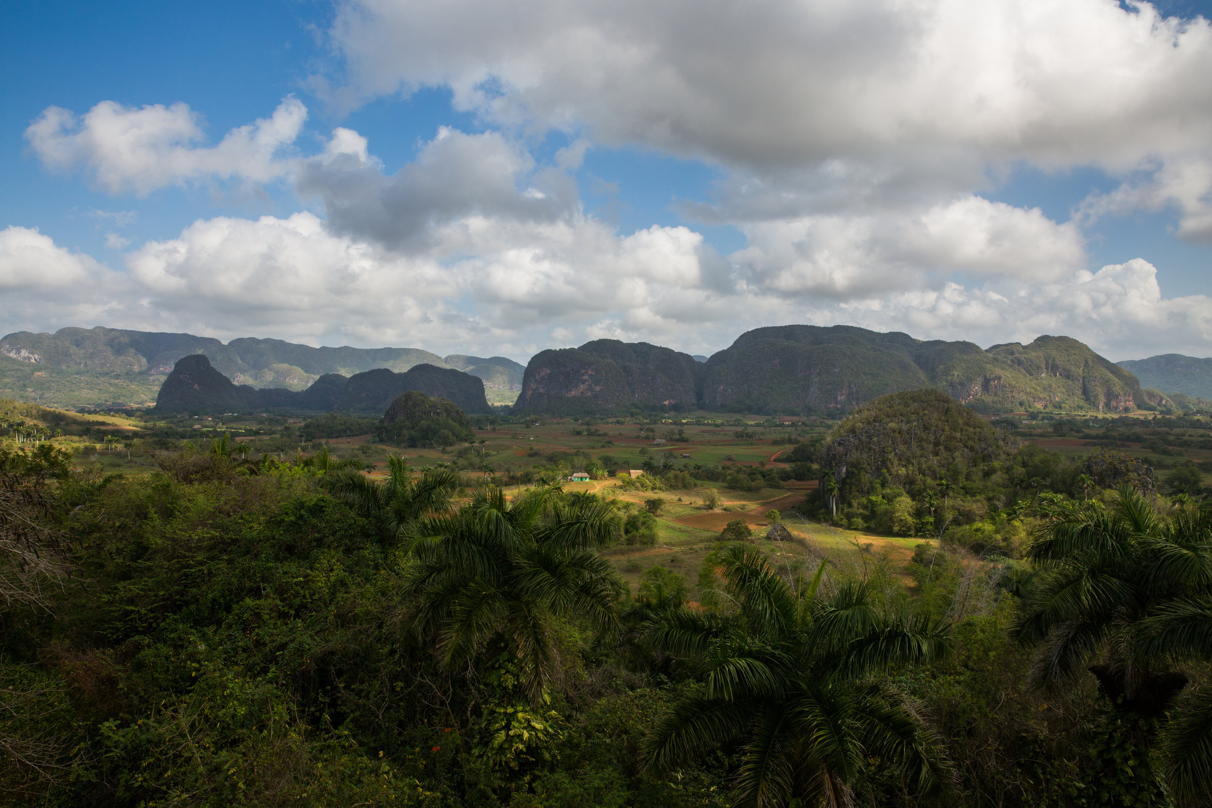 What most people will tell you is the most impressive scene in Cuba: Valley de Viñales. Limestone cliffs called mogotes raise from the floor of the tobacco farms of the basin.
