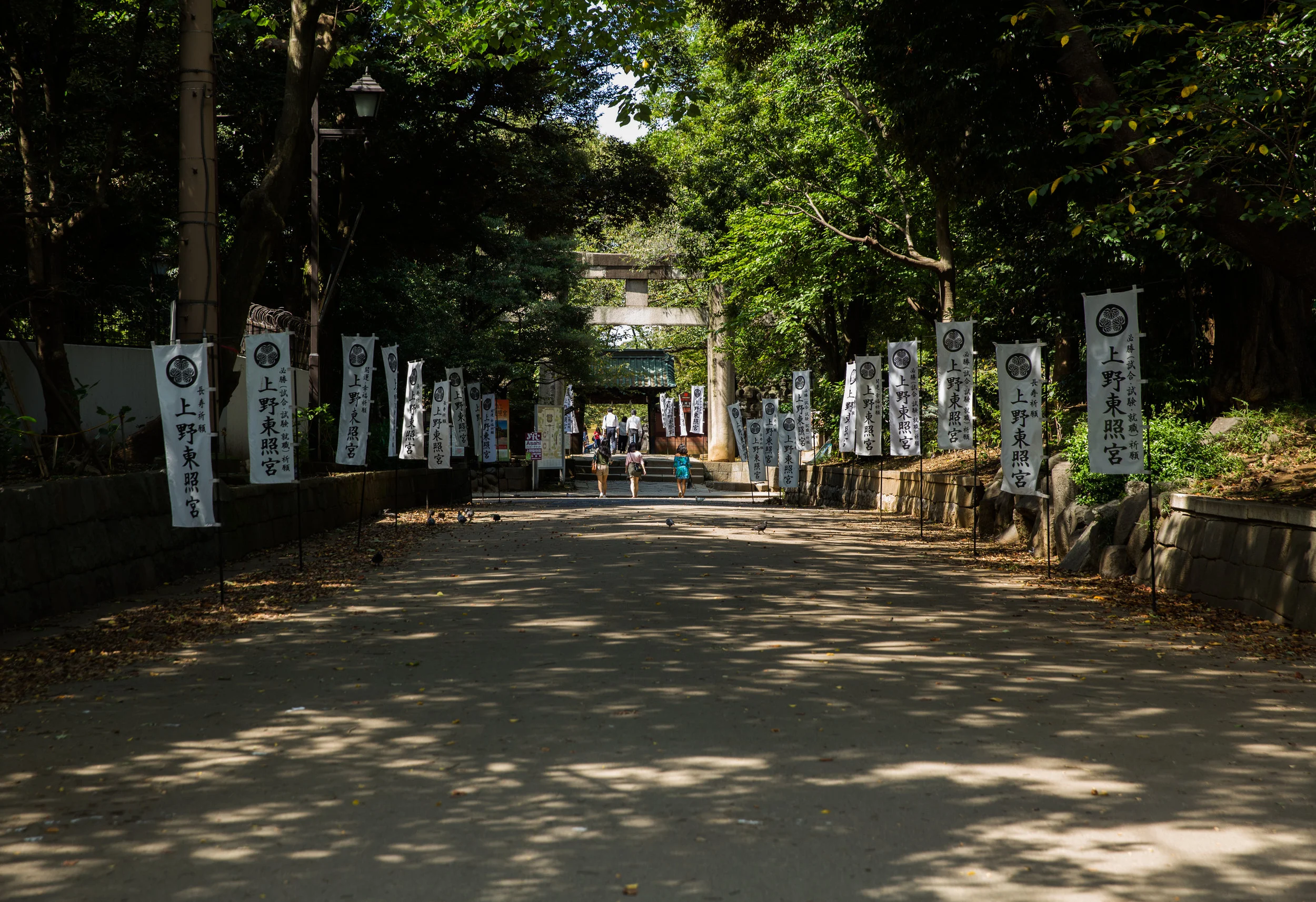 Exploring Onshi Park