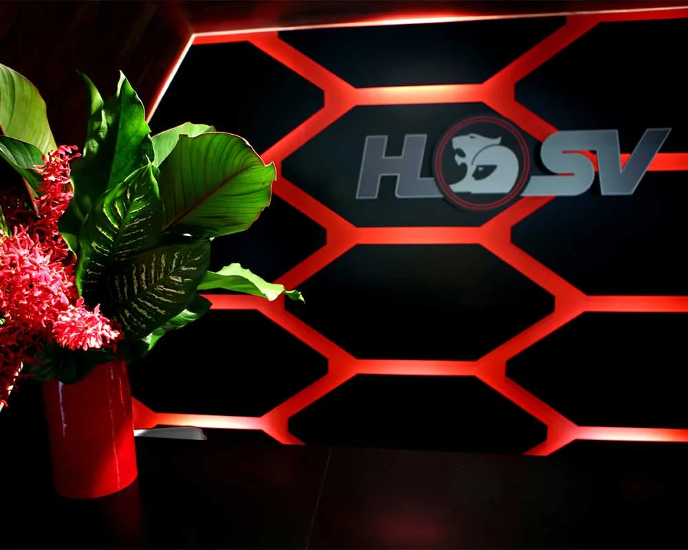 HSV logo on wall