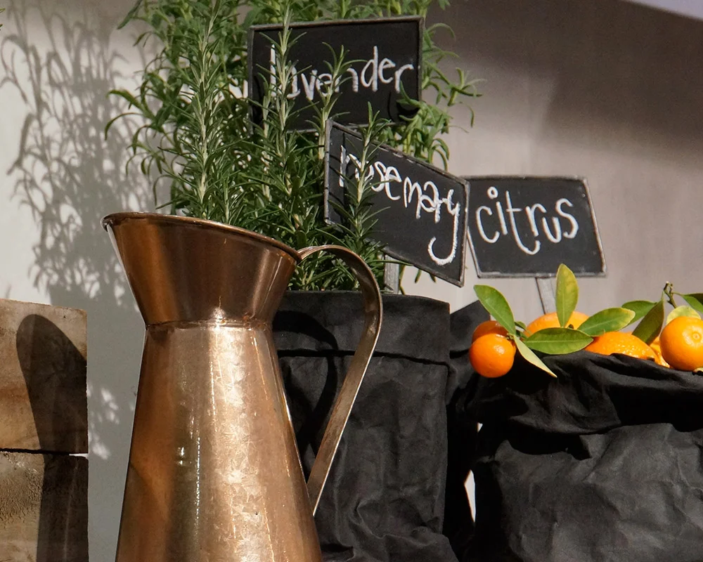 Herbs and plants