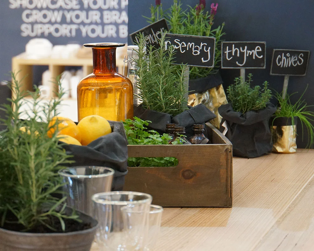 Plants and herbs in display