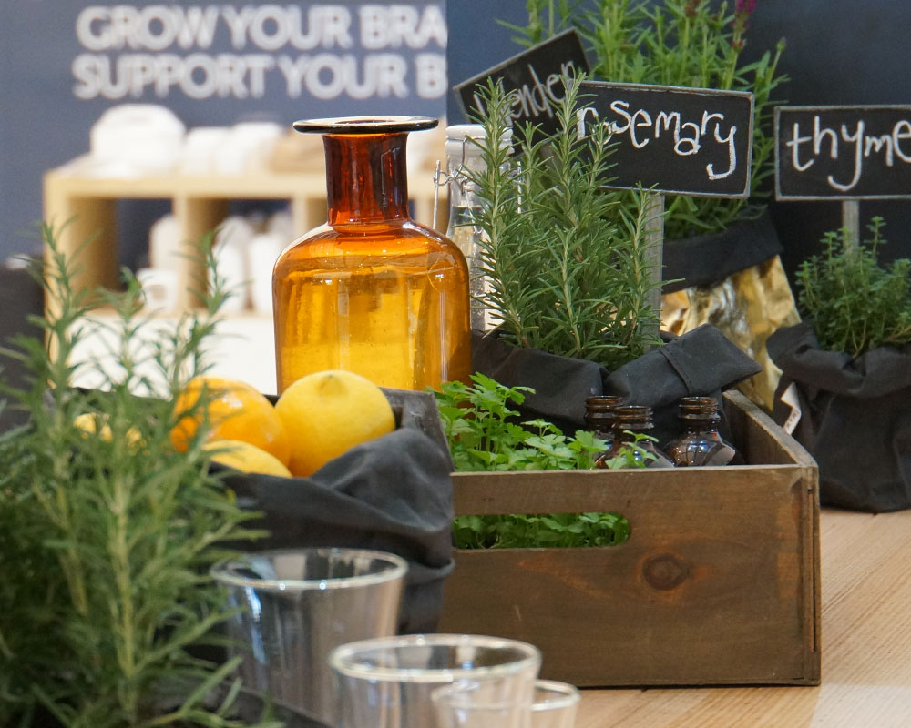 Plants and herbs displayed