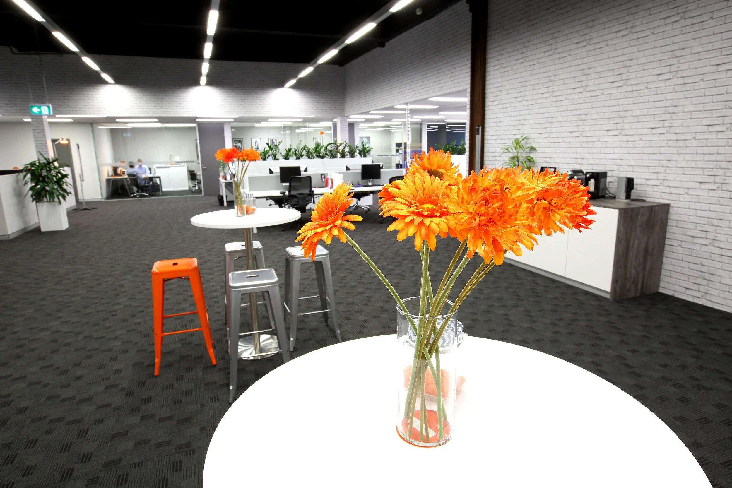  Photo by DAMIAN SHAW.com 