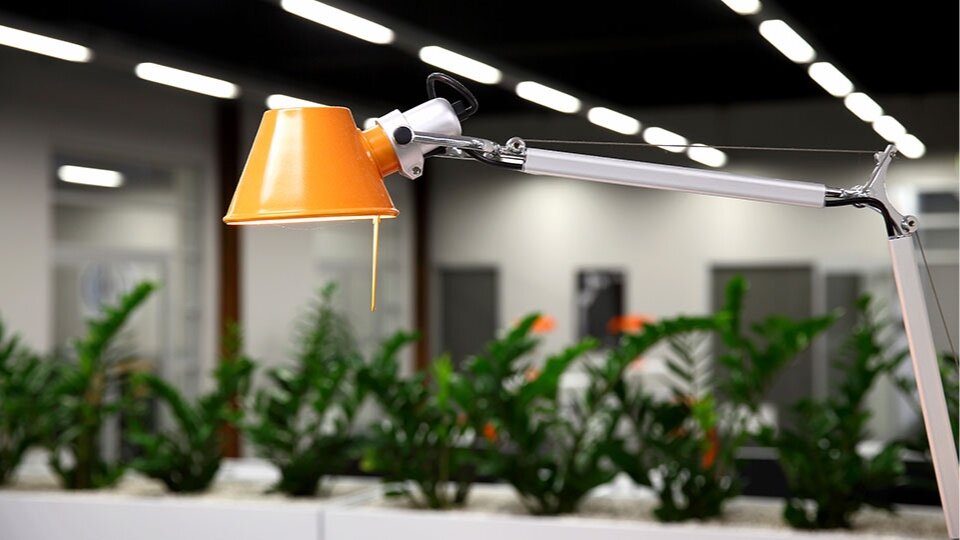Connect Hearing - orange lamp