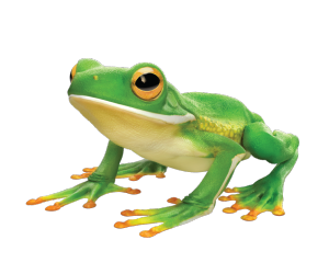 1426266969223.png