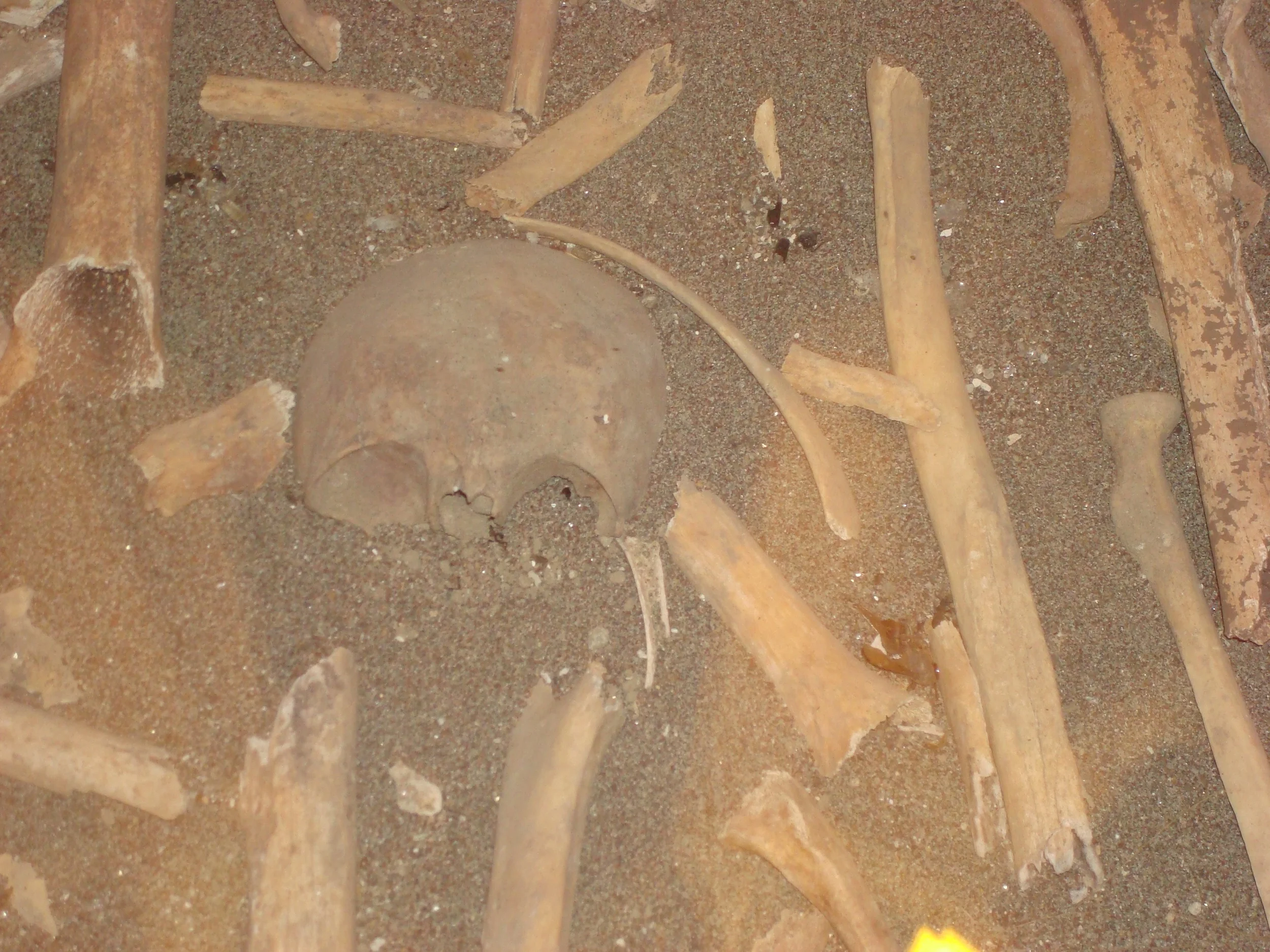 bones of Genocide victimes on display at the Genocide Cathedral & Museum