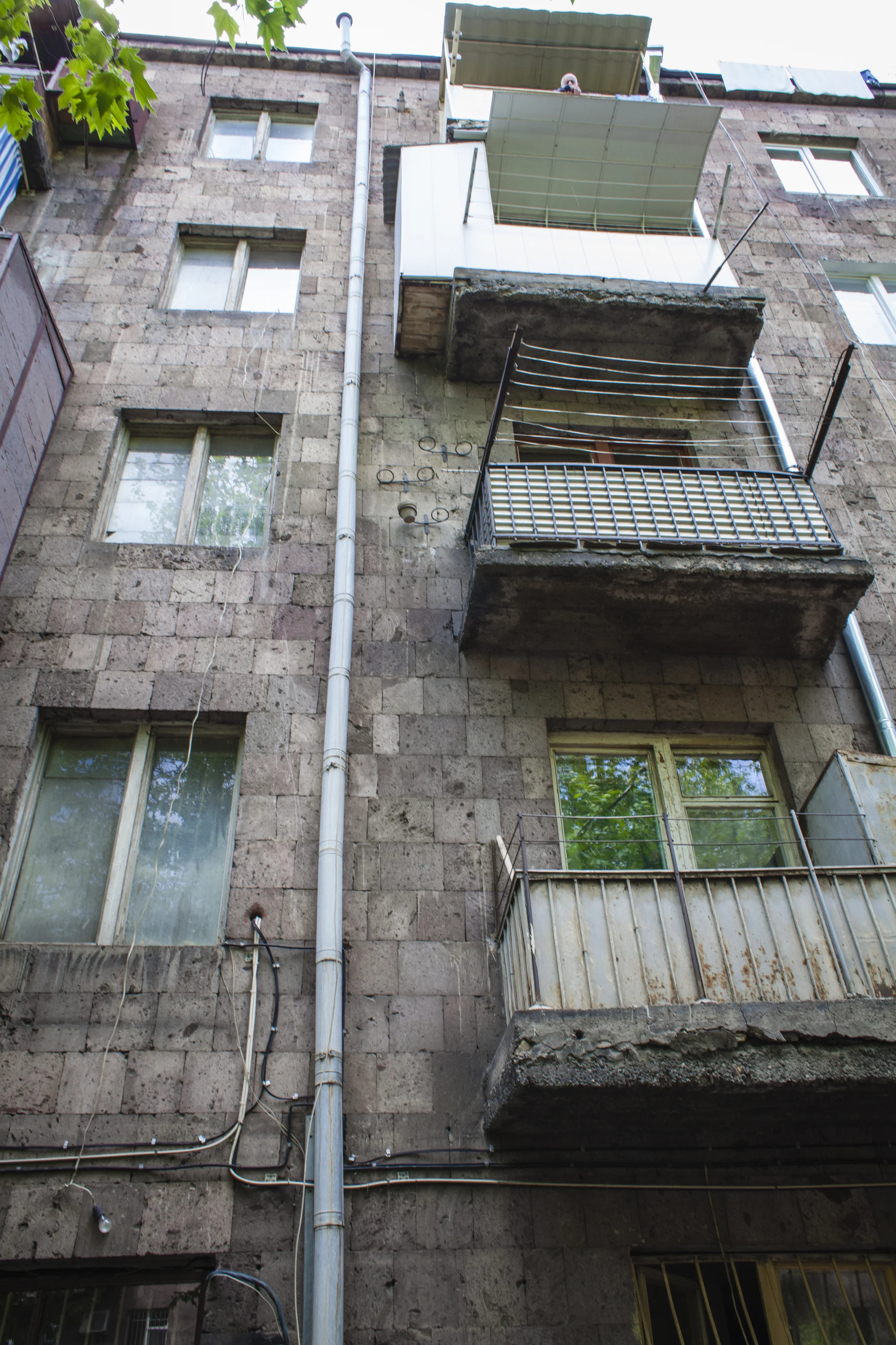 ArmenianRedwoodProject-5979.jpg