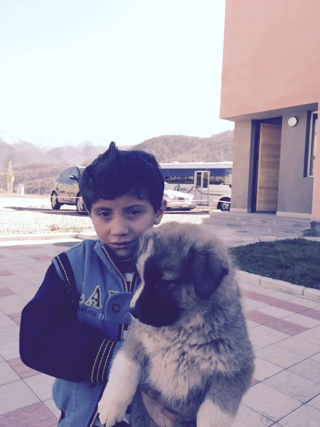 Garoushig, Ilona's youngest child with his new friend: an Armenian shepherd dog