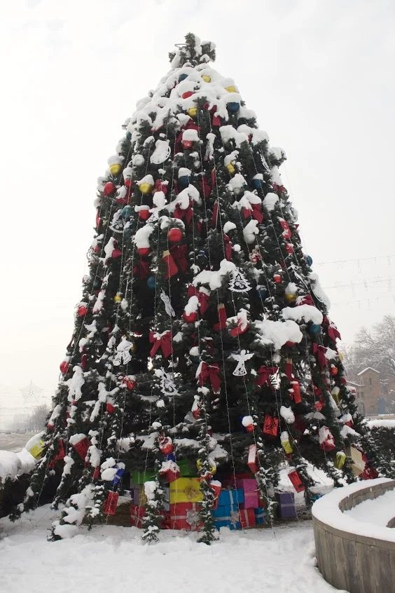 Christmas Tree at theMother See of Holy Etchmiadzin (HQ of the Armenian Church). Photo credit James Aram Elliott on assignment to the ARP