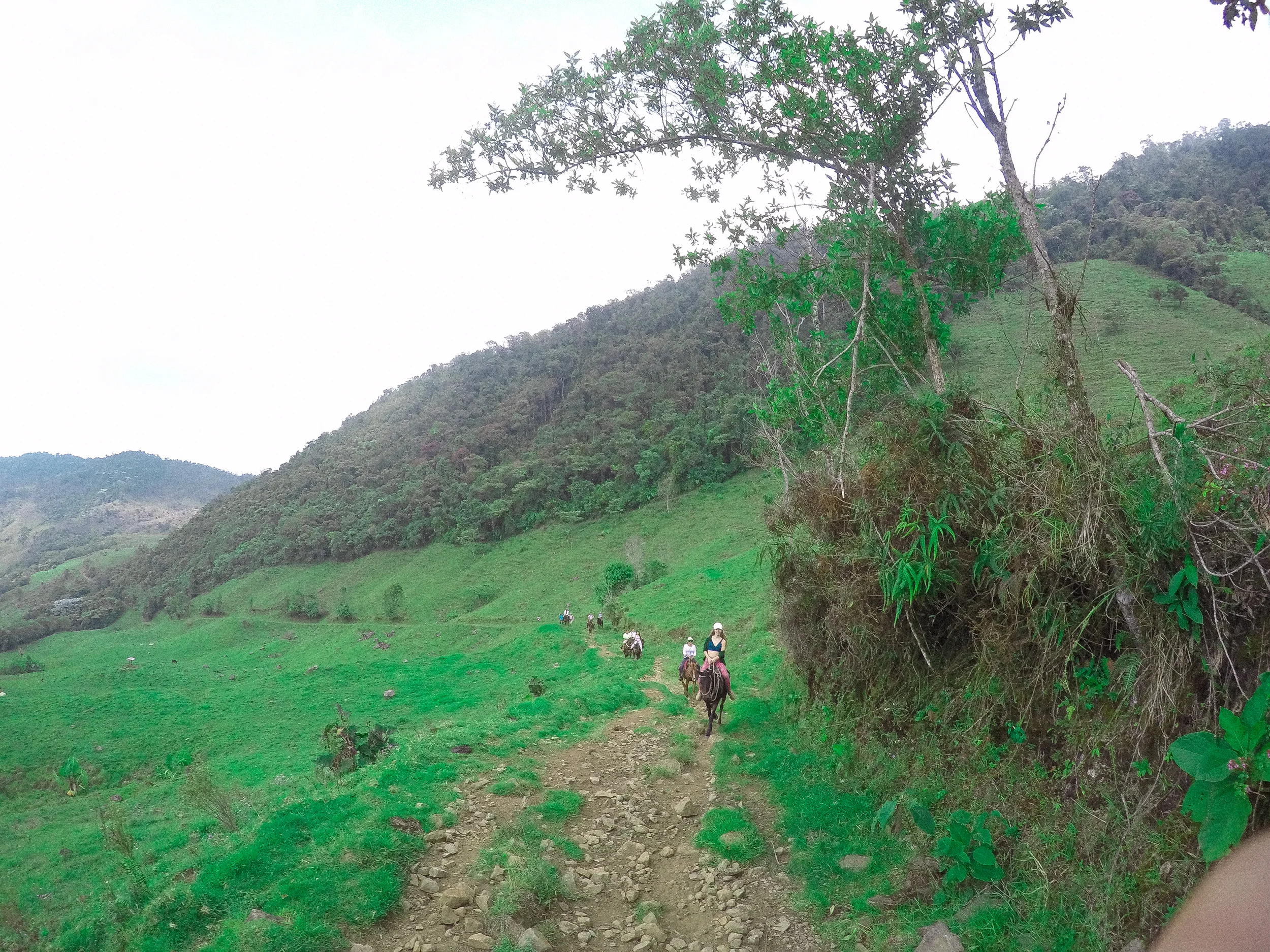 GOPR0400.jpg