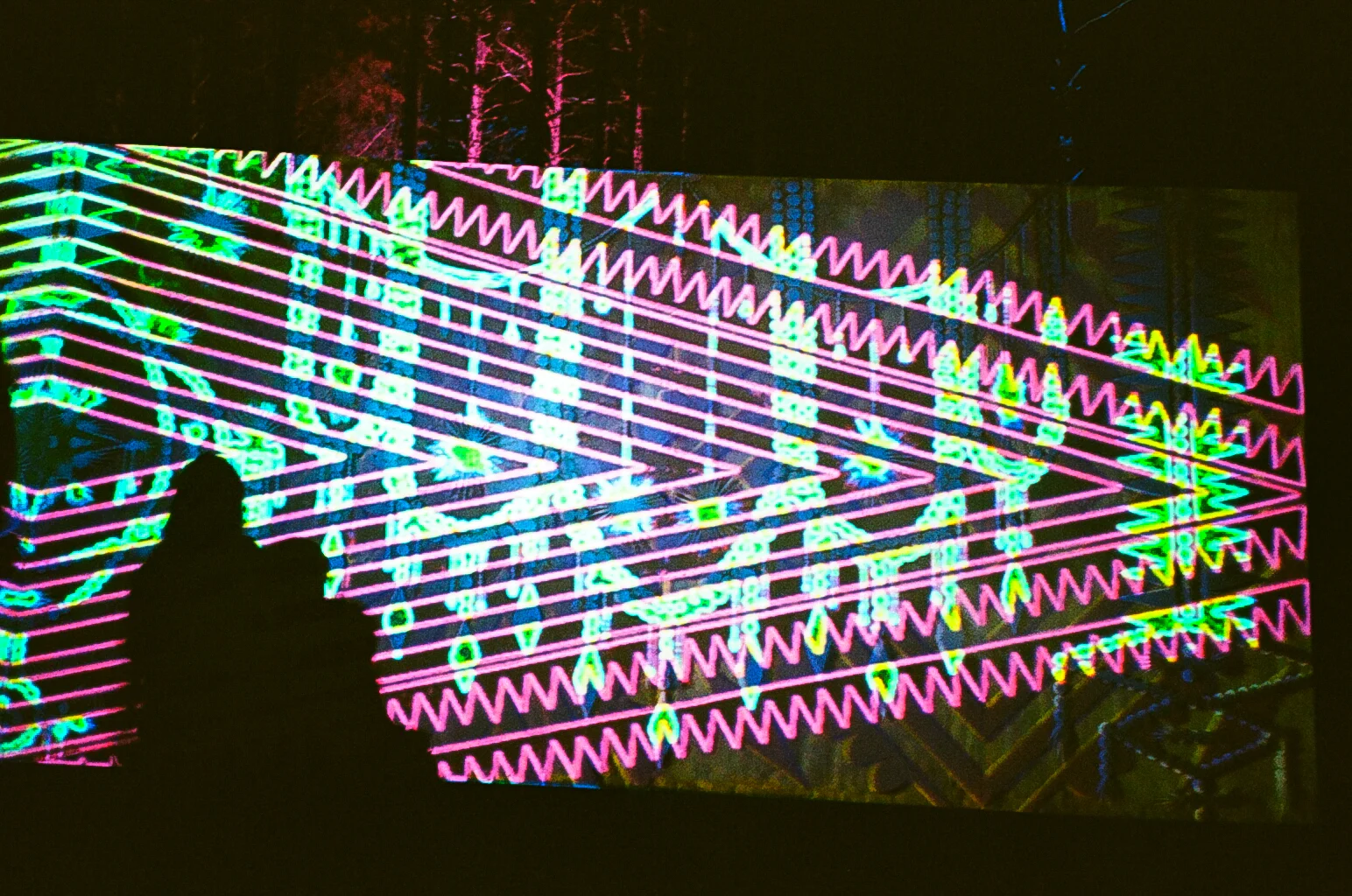 08790019.jpg