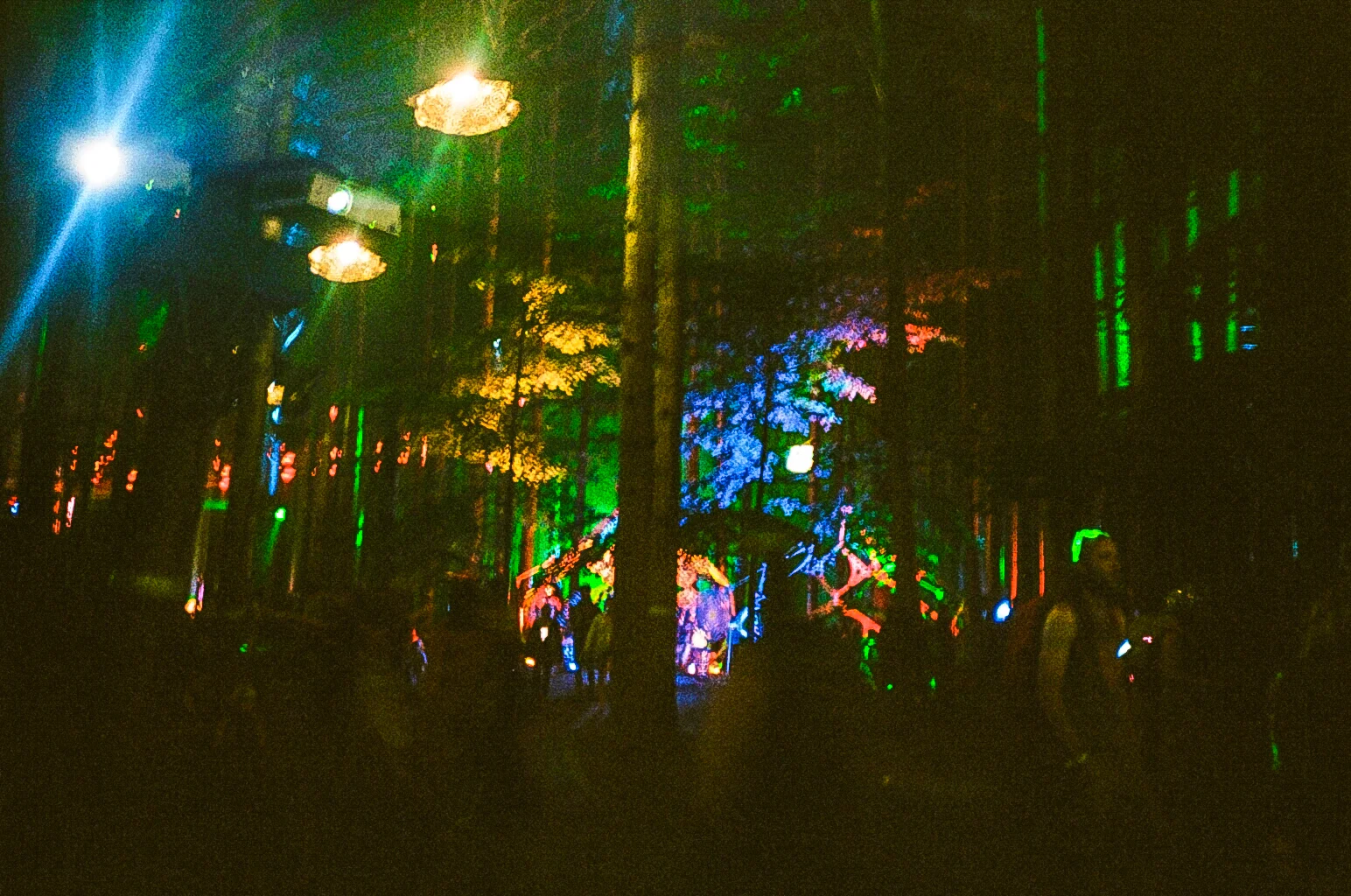 08790023.jpg