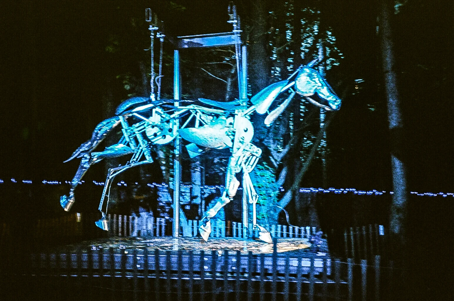 08790026.jpg