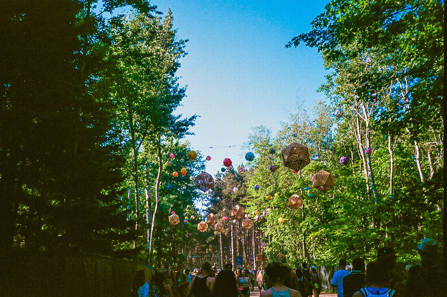 08810027.jpg
