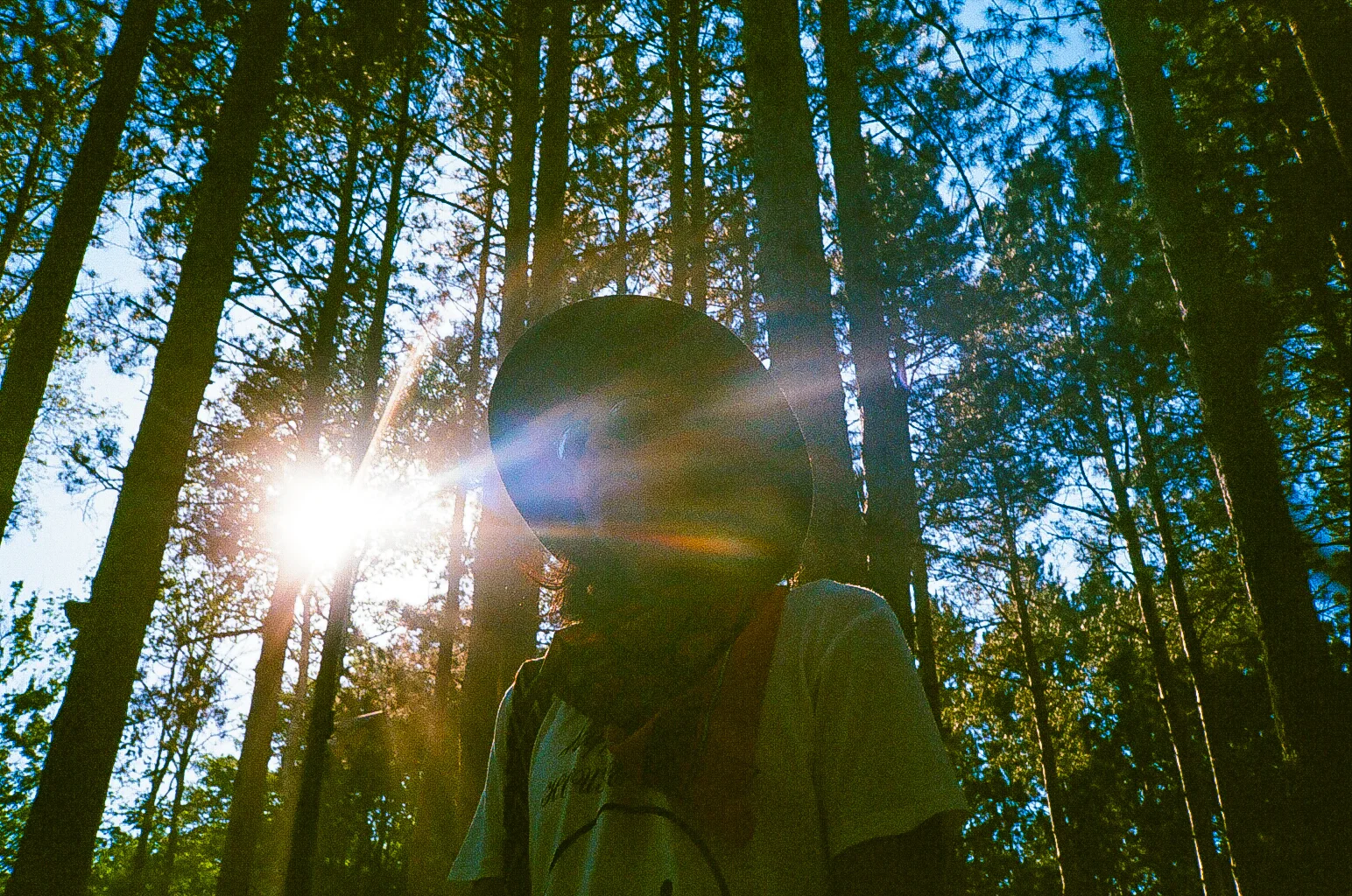 08810030.jpg