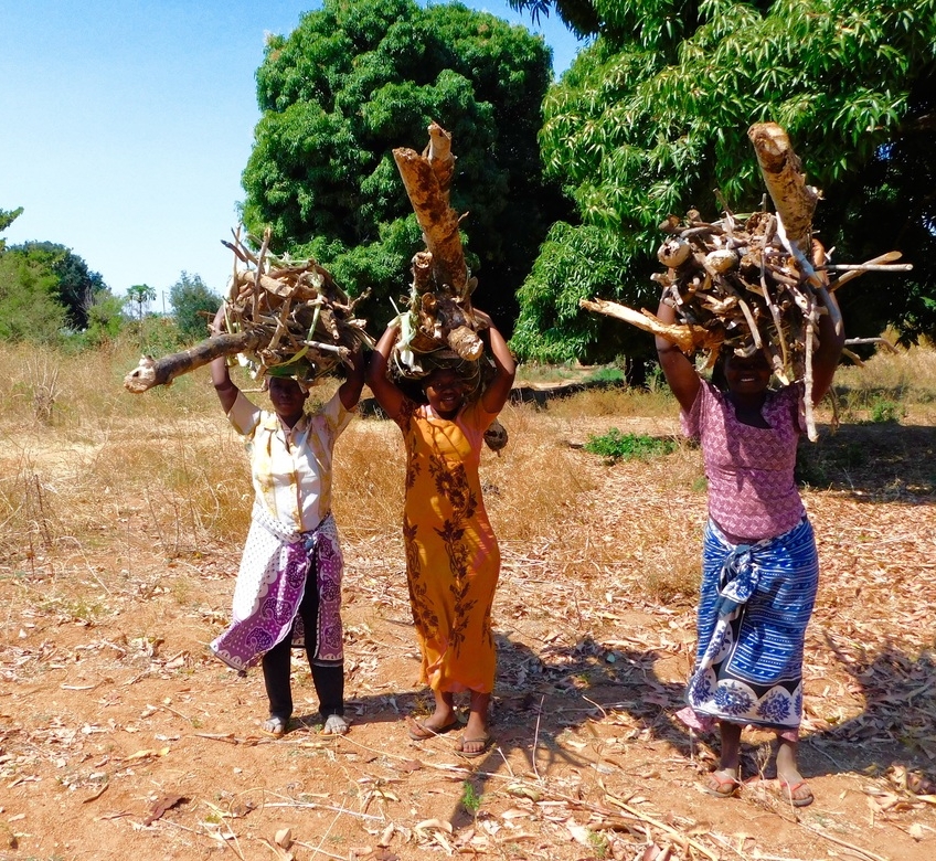 Women in Shinyanga carrying firewood. Photo by J. Kadota.