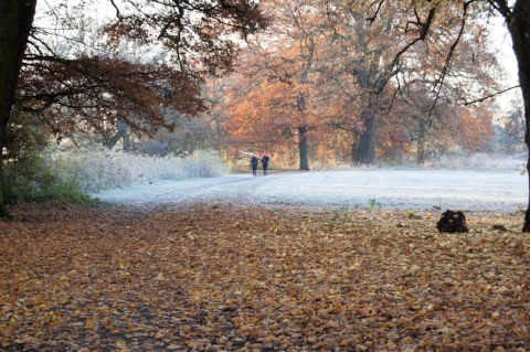 AutumnToWinterPath.jpg