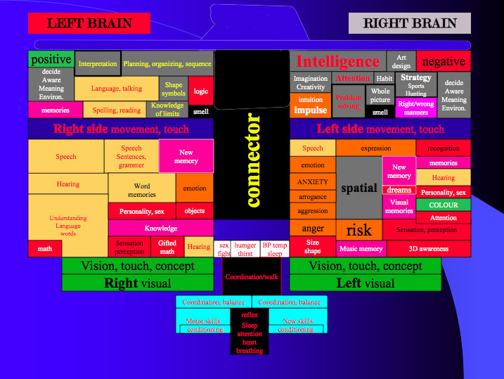 Left_and_Right_Brain.jpg