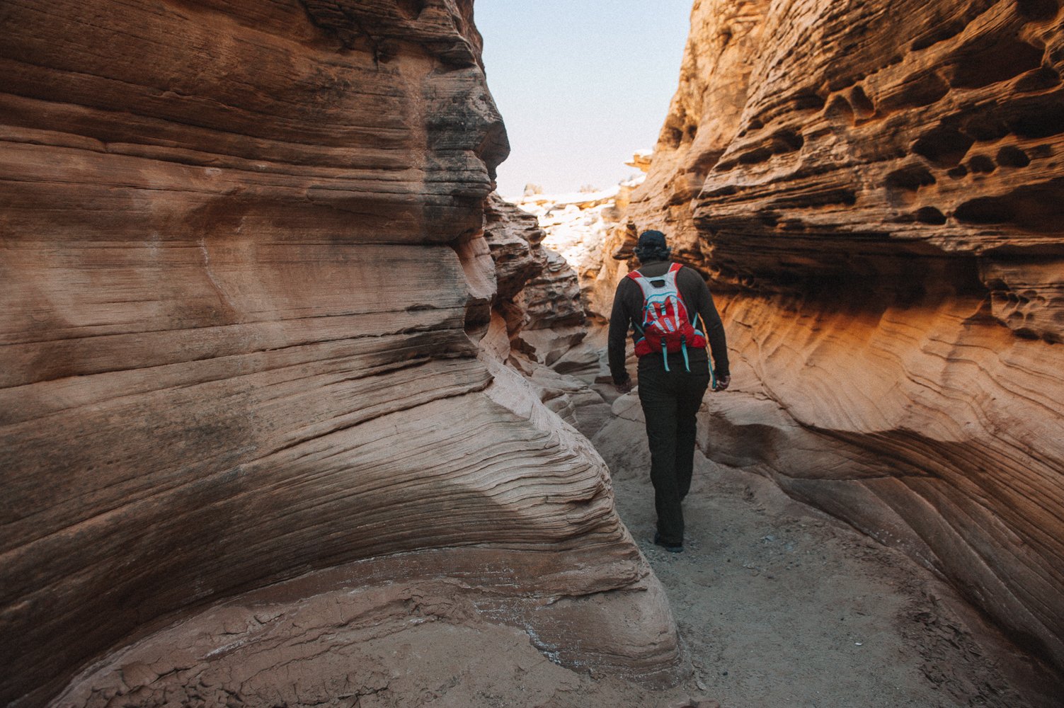 Glad You Asked: Do Ants Mine Gold? - Utah Geological Survey