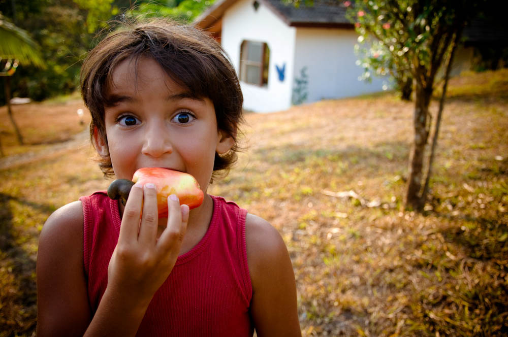 Eating a cashew fruit, Costa Rica