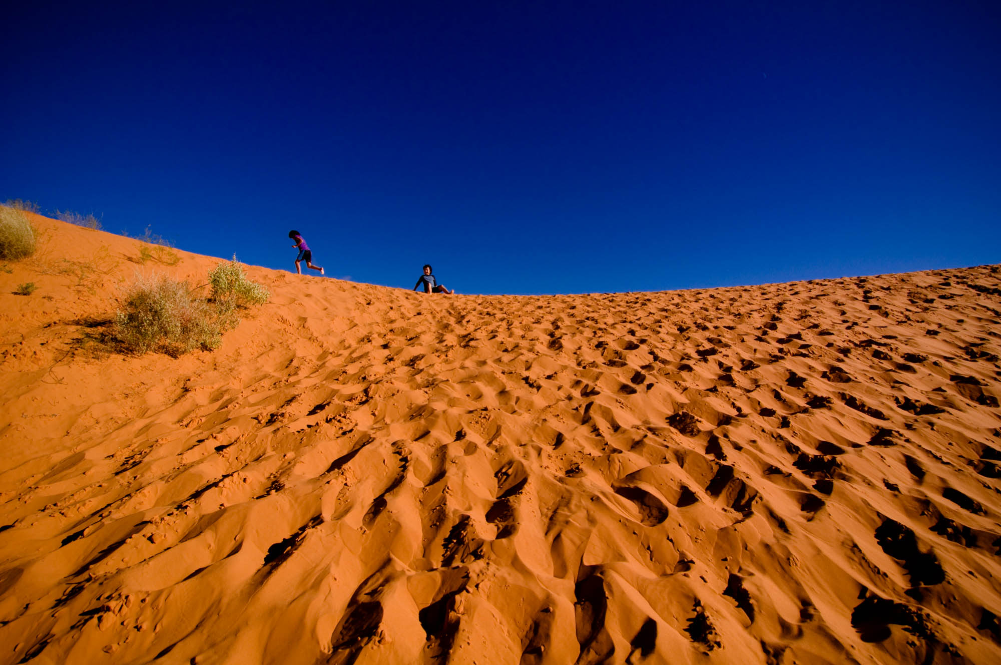 Coral Pink Sand Dunes State Park, Utah