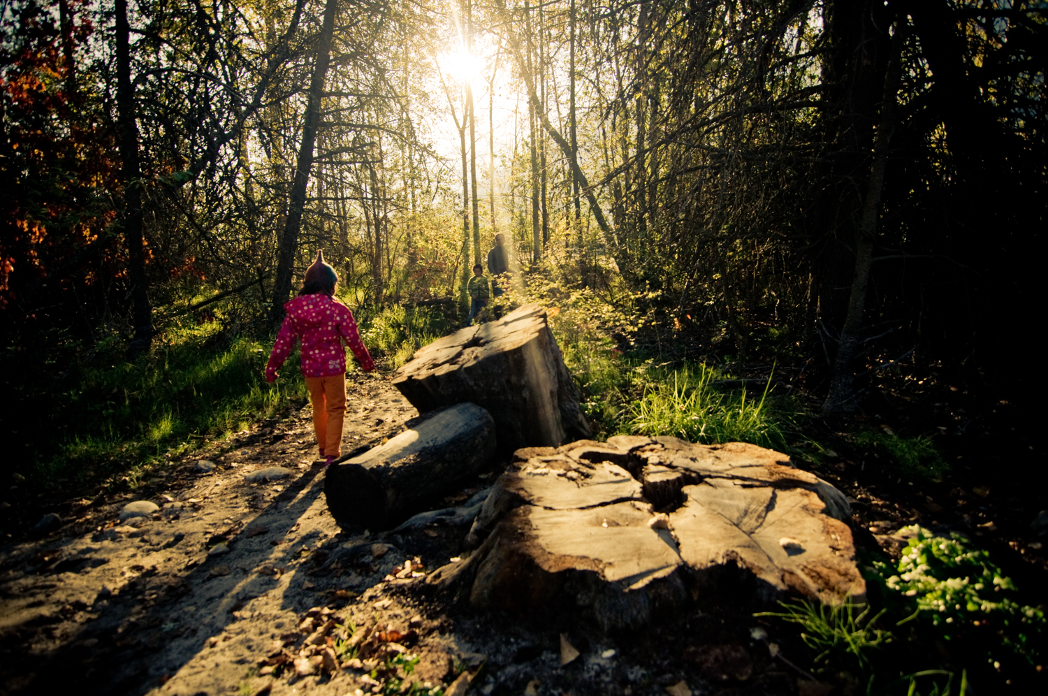 Gladstone Provincial Park, British Columbia