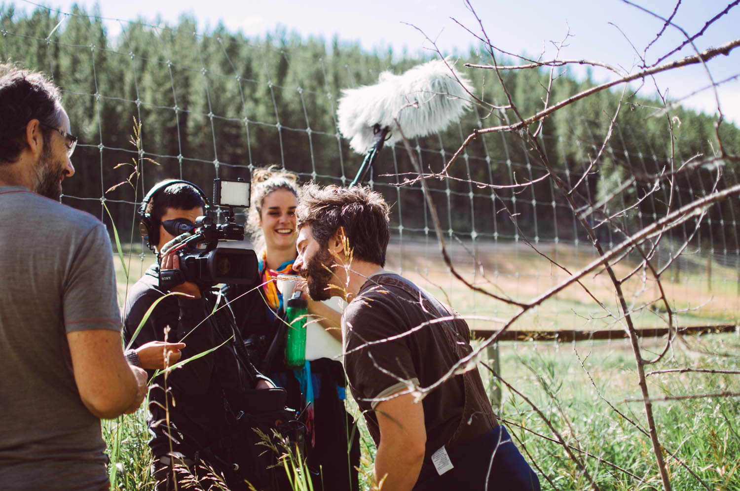 There is never a boring moment with Simon! Here: chewing grass just like the muskox!