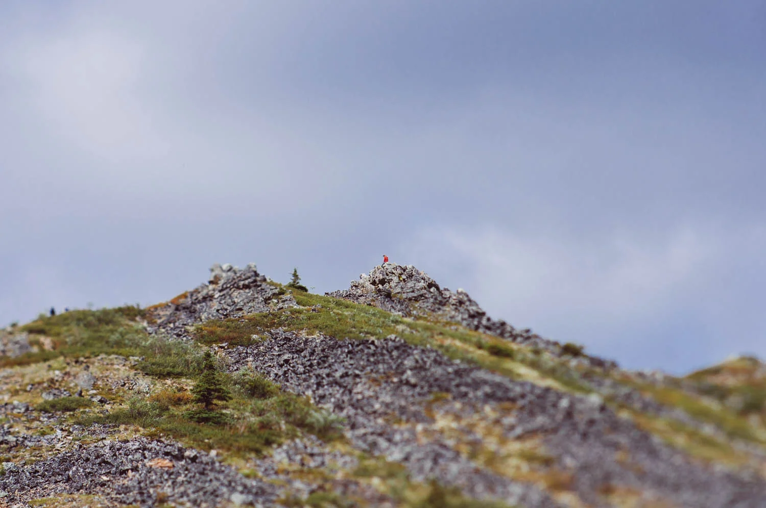 The man, on top of the world!