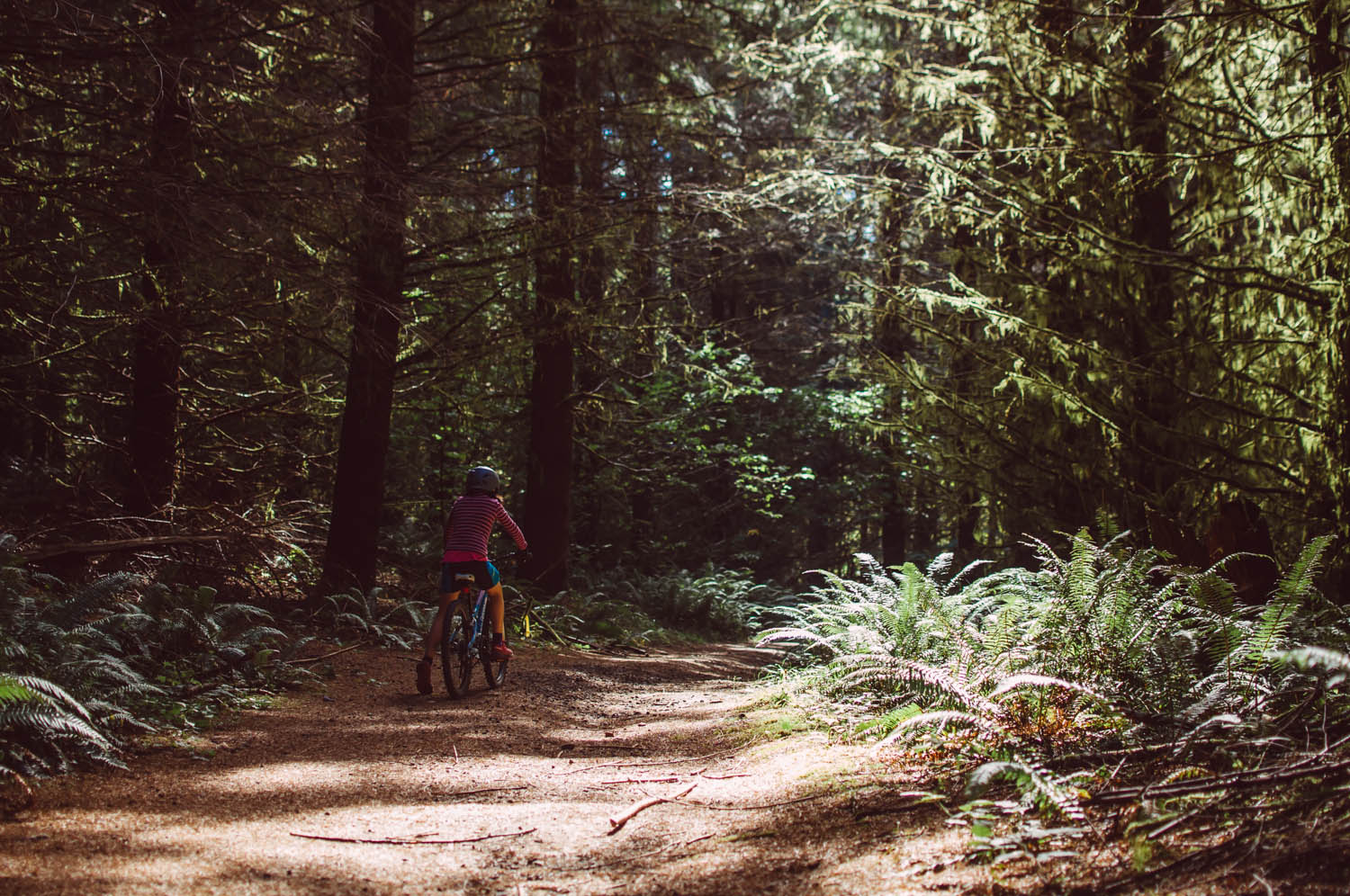 Stub stewart state park mountain biking sale