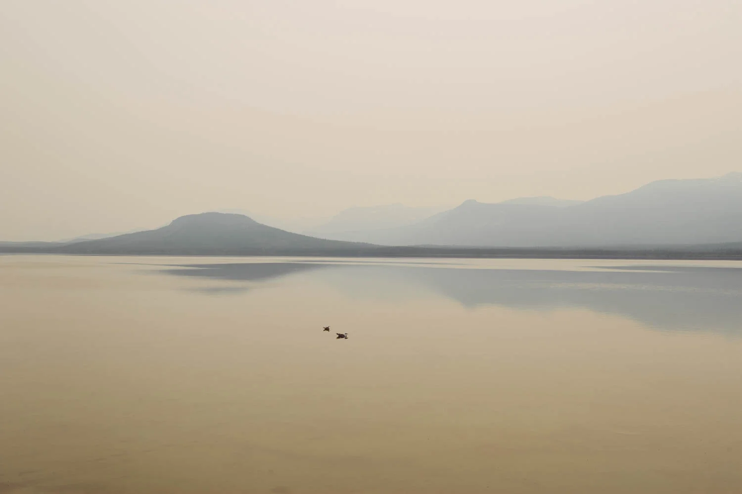 Little Atlin Lake