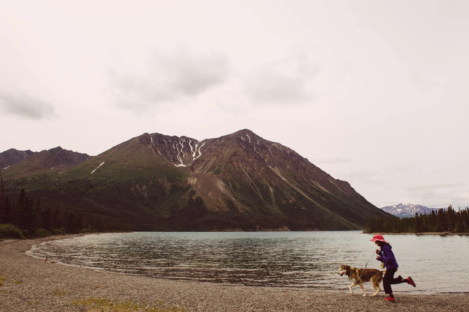 Running with Kinder along Kathleen Lake. We borrowed this dog from our friend since it is much safer to hike with a dog in grizzly country. Kinder is an 11 yo retired sled dog - he was a lead dog! - and decided to turn around with the first group... We outlasted him!