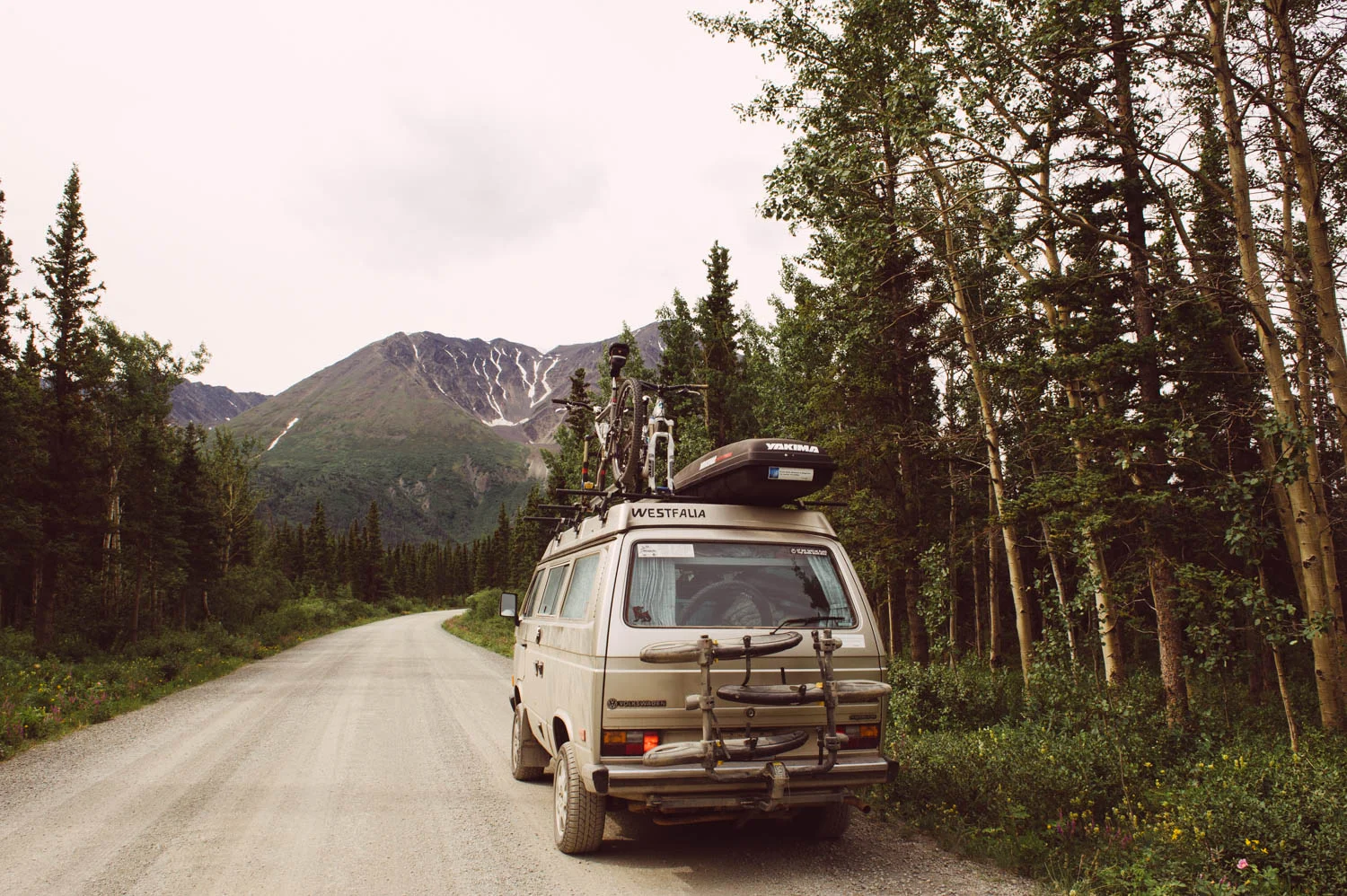 The Westy chose this beautiful spot to die. Good thing I am getting fast at fixing it with our little trick! Five minutes and we were back on the road!
