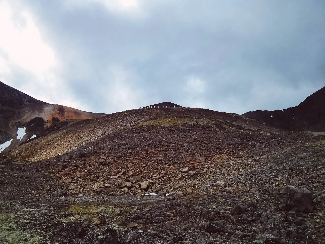 Do you see the mountain goat herd up there?