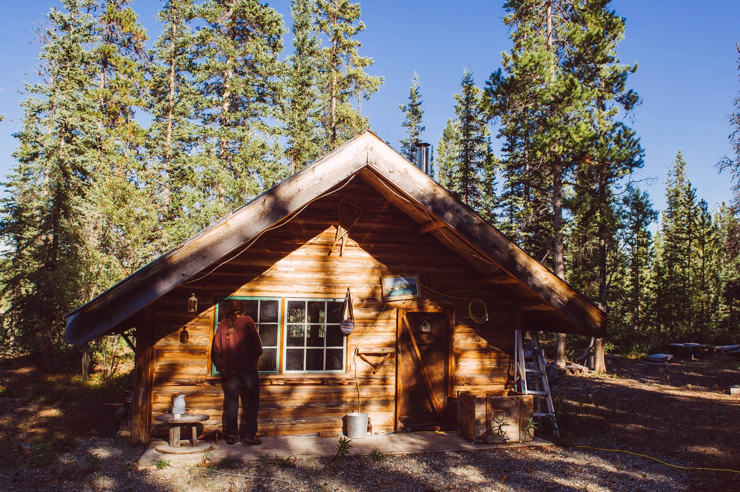 This is a squatter's cabin. In the 50's and 60's there was a big squatter population here (squatters are a group of people living without authorisation on Crown and private land) and there are still many squatters house in and around Whitehorse.