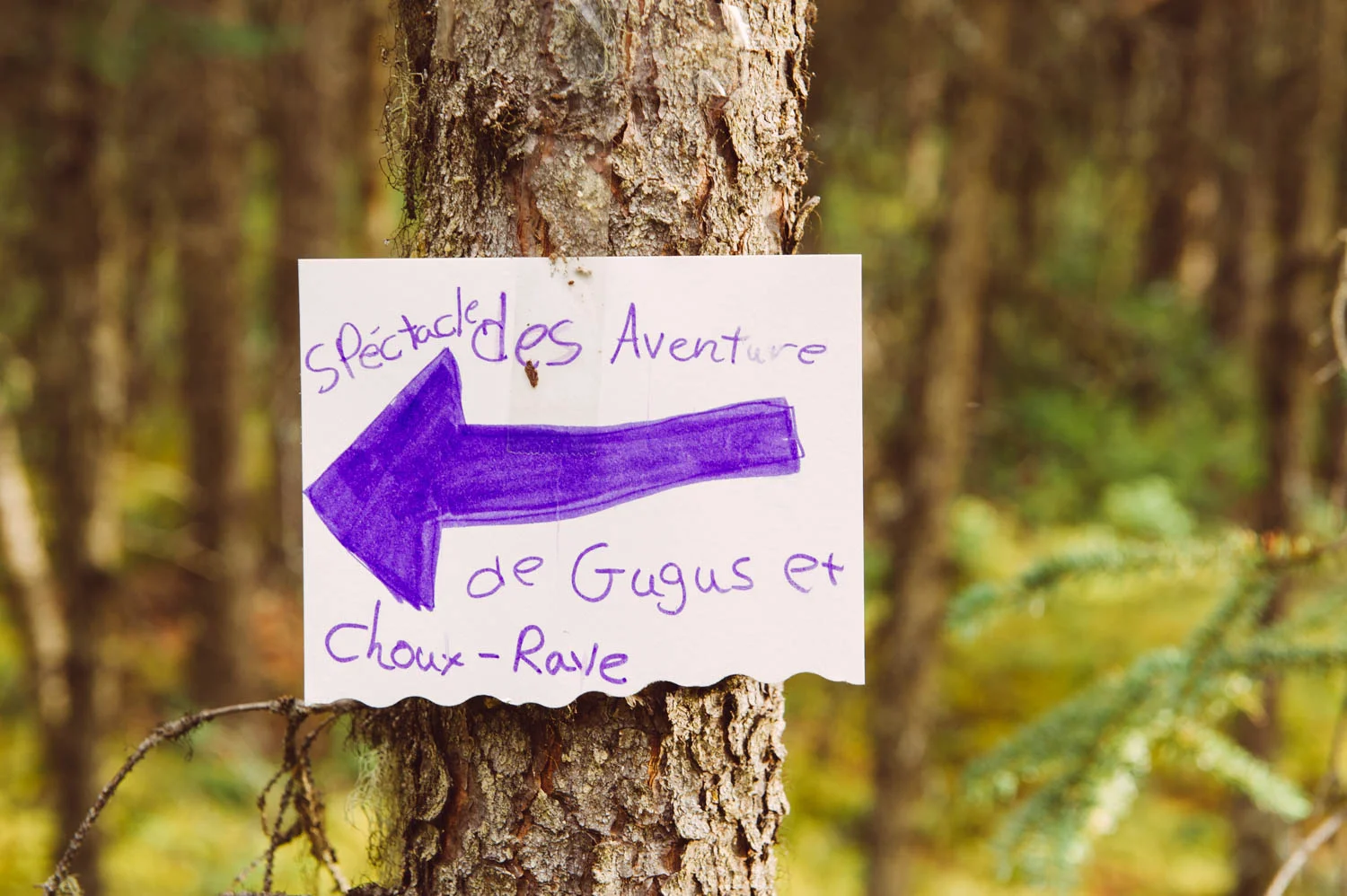 Title of the show: The adventures of Gugus and Chou-Rave (a chou-rave is a kolhrabi, don't ask me how they came up with that name!).
