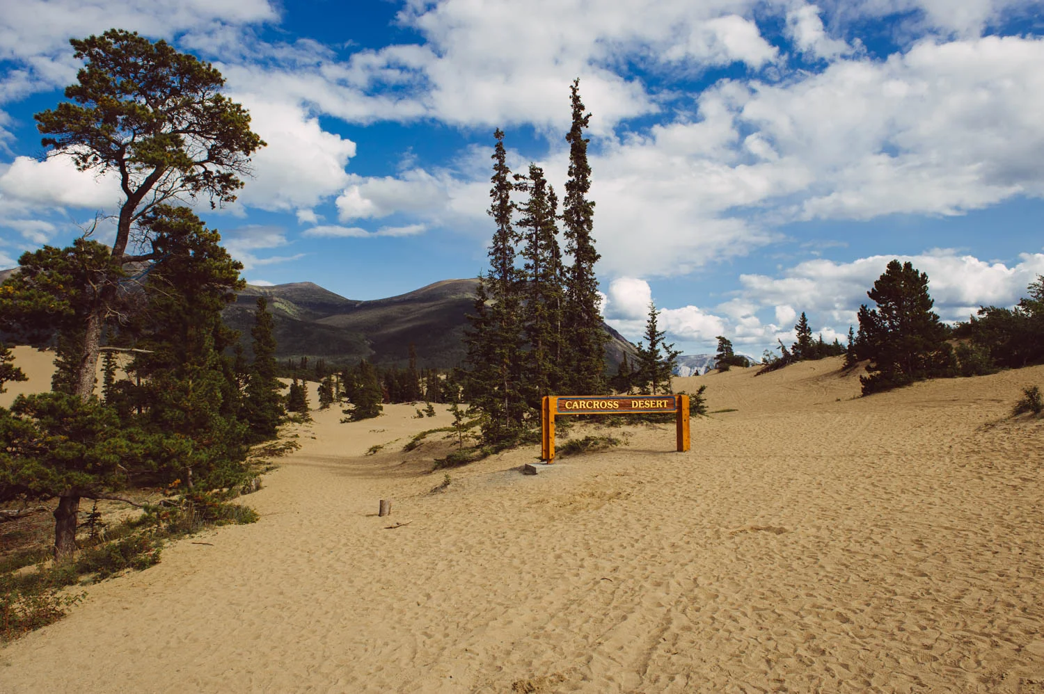 How do you turn a big sandpit into a major tourist attraction? You call it The Smallest Desert on Earth! I am not kidding... this sandpit is undeniably the most visited sandpit in the world...!