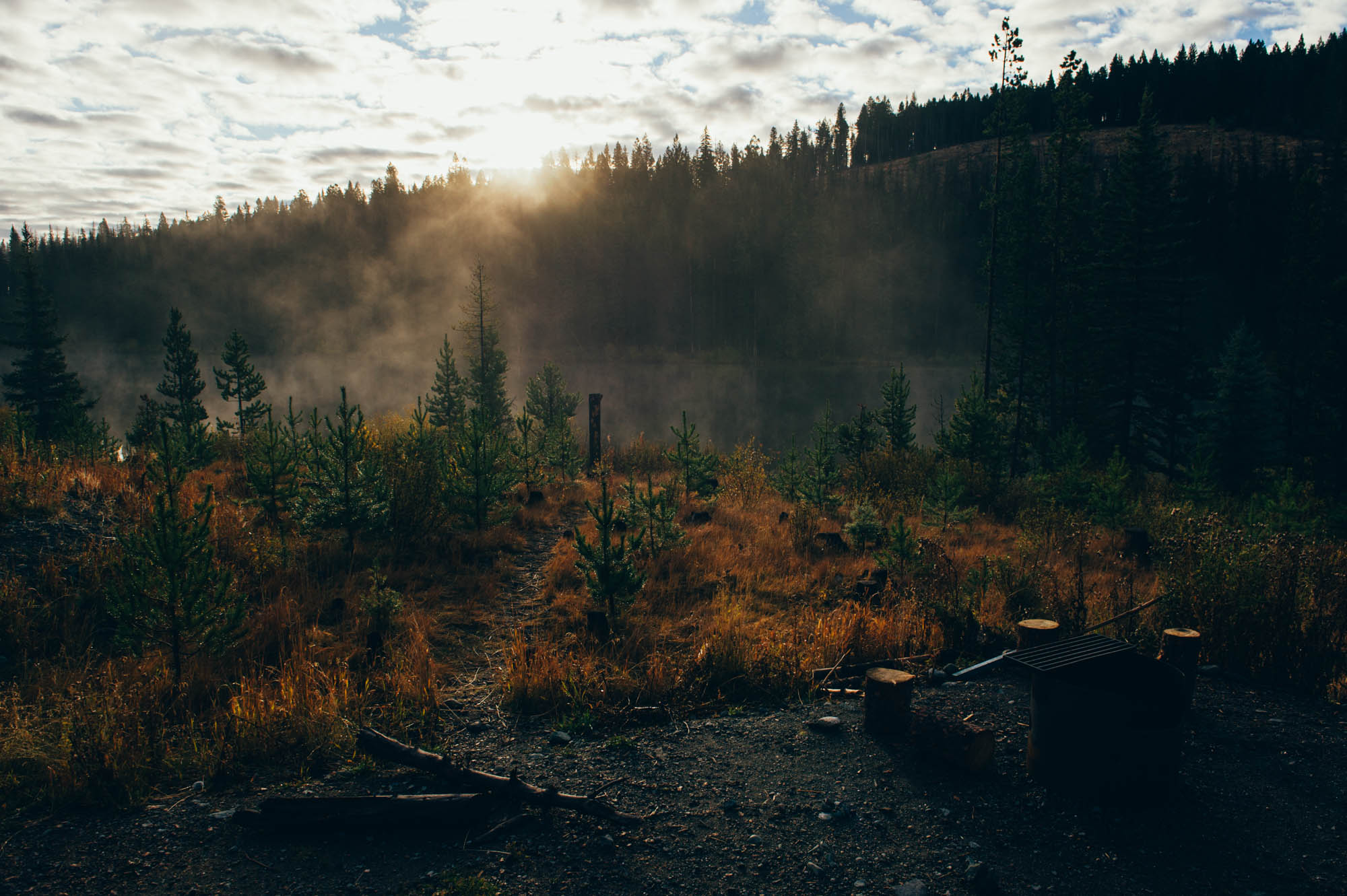 Fog on the lake, early morning.