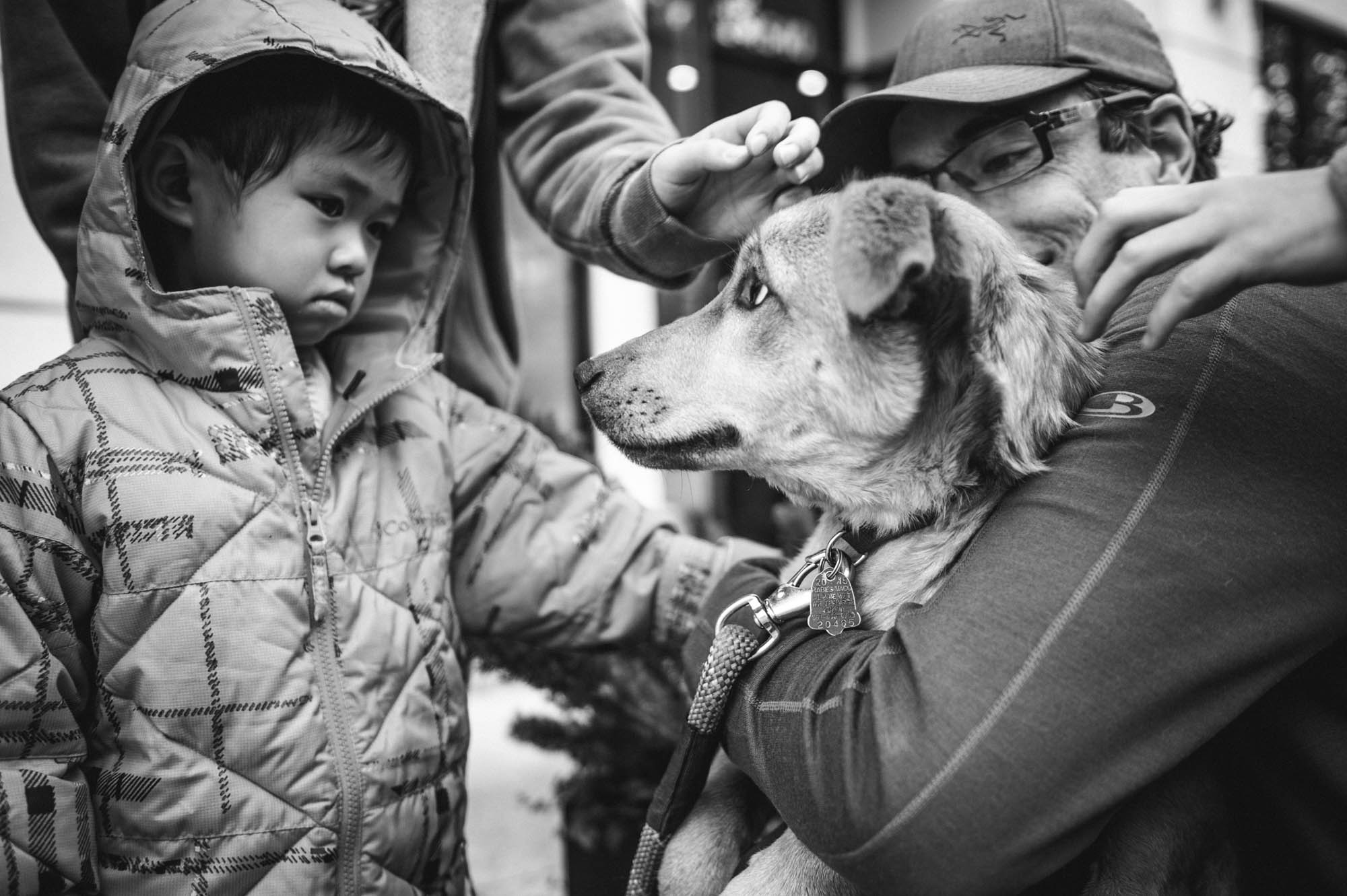 Java was terrified of this little boy...