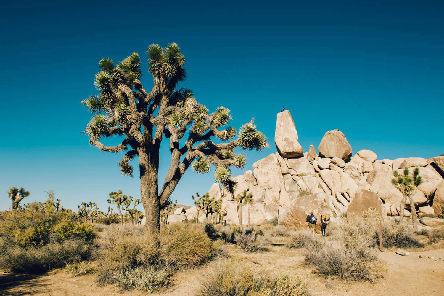 See that big boulder up there. That's where Cryptic is.