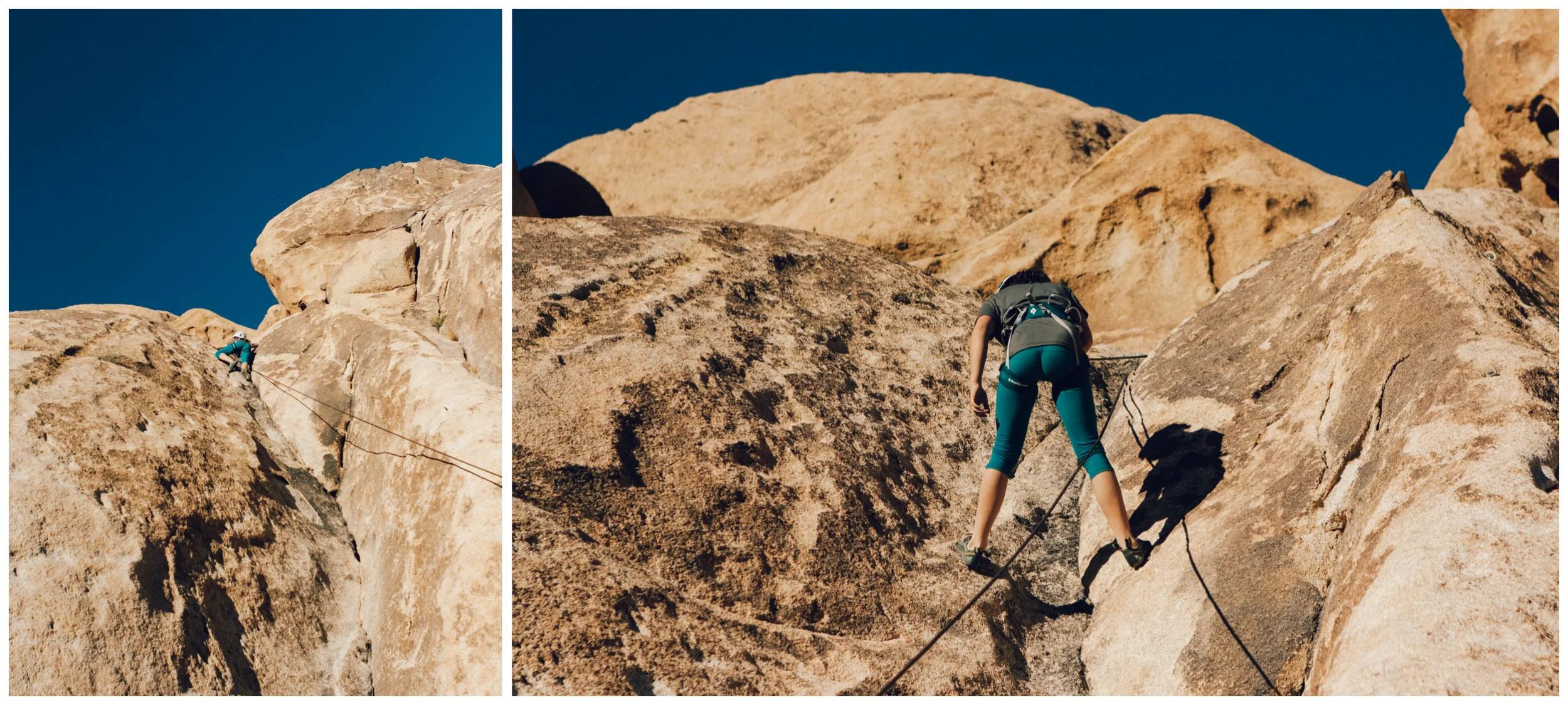 (photos by Isabelle Lauzon)