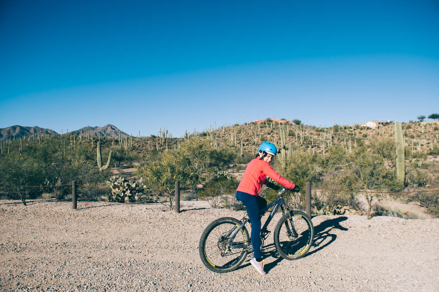 Sweetwater trailhead. Awesome bike trails among the saguaros.