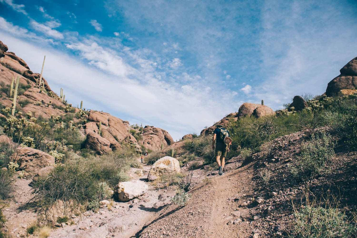 Hike up Cat Mountain. It felt like we hadn't hiked in ages... With all the biking and rock climbing, we had forgotten how much we liked hiking too! How much more contemplative it is than biking... especially in the desert with all the cacti (no contemplation allowed!).