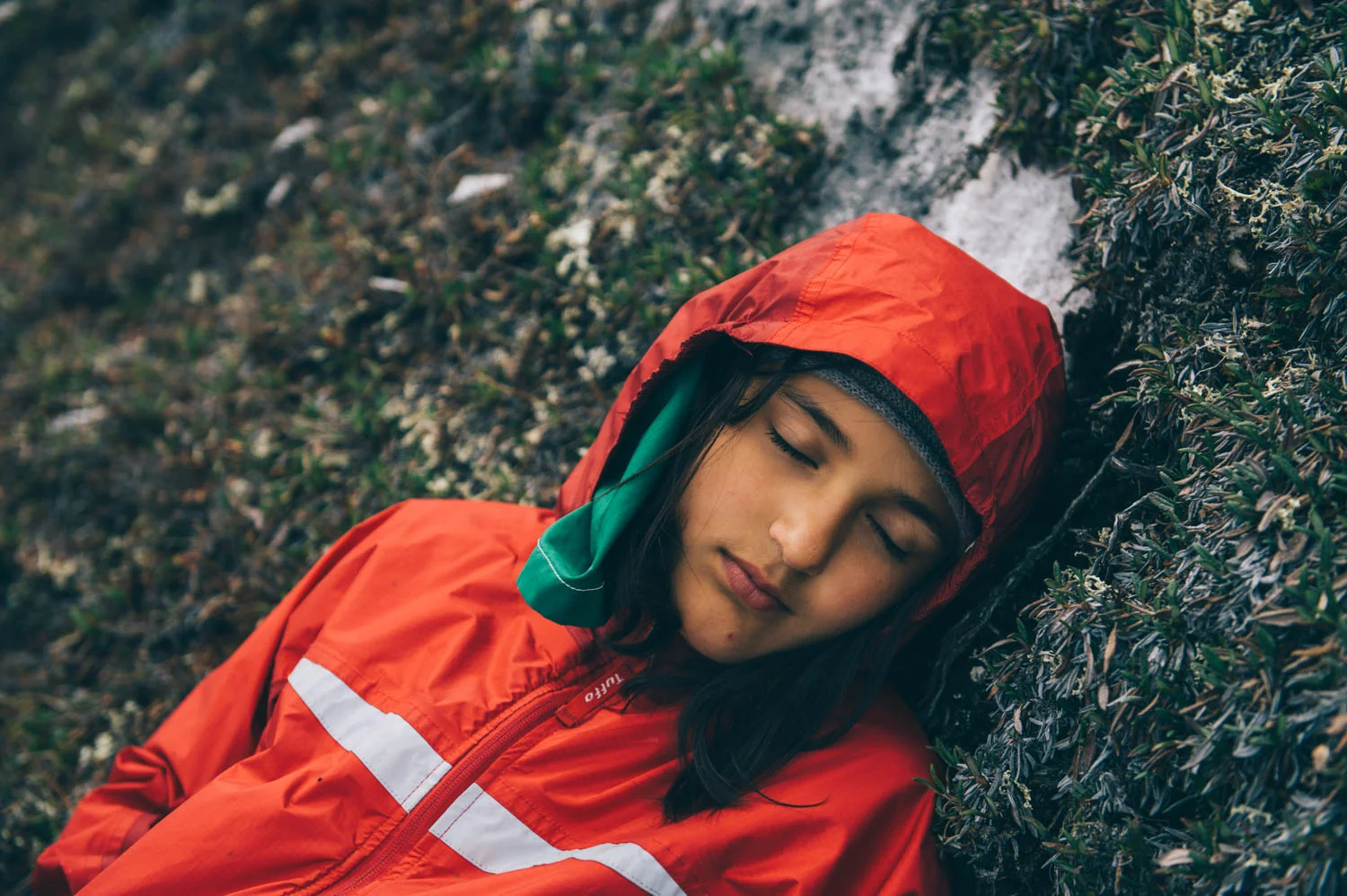 These late nights of light are hard on sleep... Catching up on rest in the moss and lichen...