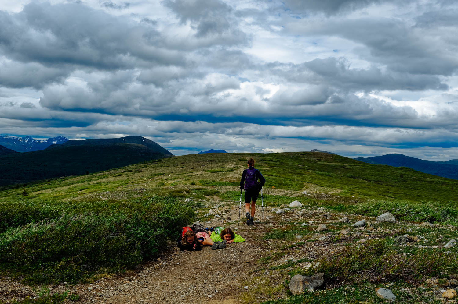 You have to be pretty creative to take shelter from the wind in the alpine!