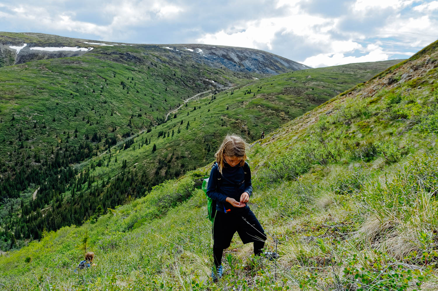 Climbing in the alpine is hard work. David is eating some bearberry flowers to fuel up!